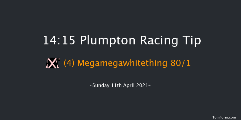 Buy The Plumpton History Book Maiden Hurdle (GBB Race) Plumpton 14:15 Maiden Hurdle (Class 4) 16f Mon 5th Apr 2021