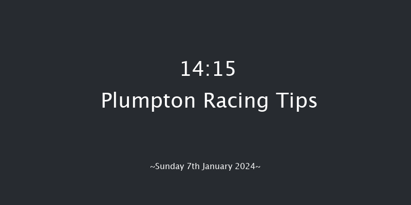 Plumpton 14:15 Handicap Hurdle (Class 2) 25f Mon 18th Dec 2023