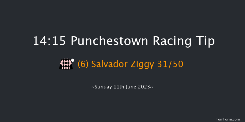 Punchestown 14:15 Maiden Chase 24f Sat 10th Jun 2023
