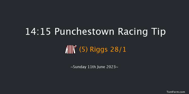 Punchestown 14:15 Maiden Chase 24f Sat 10th Jun 2023