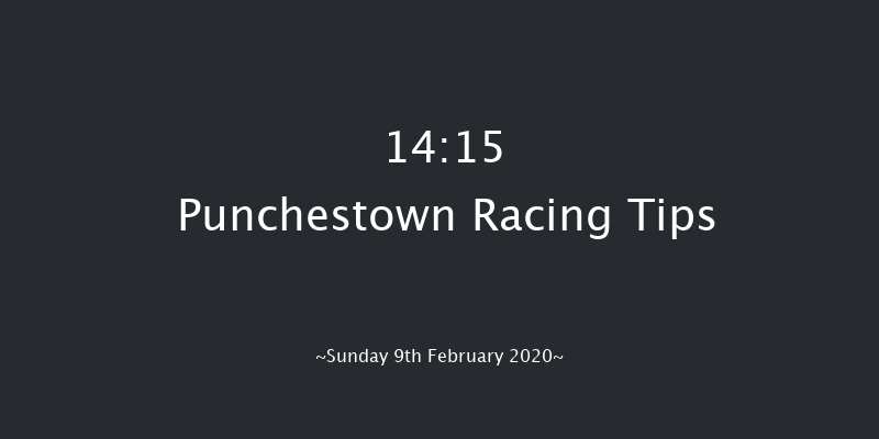 I.n.h. Stallion Owners Ebf Novice Hurdle (listed) Punchestown 14:15 Novices Hurdle 16f Wed 15th Jan 2020