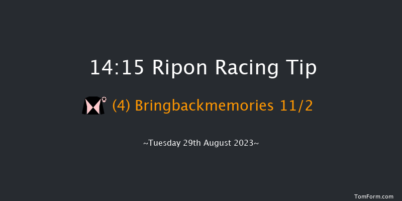 Ripon 14:15 Handicap (Class 5) 10f Mon 28th Aug 2023