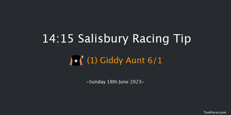Salisbury 14:15 Handicap (Class 6) 7f Tue 13th Jun 2023