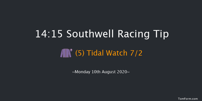 Support The Arc Racing Club Handicap Chase Southwell 14:15 Handicap Chase (Class 3) 16f Tue 4th Aug 2020