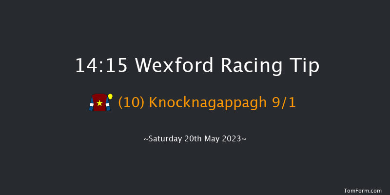 Wexford 14:15 Handicap Hurdle 20f Fri 31st Mar 2023