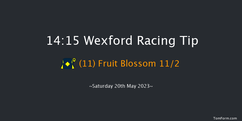 Wexford 14:15 Handicap Hurdle 20f Fri 31st Mar 2023
