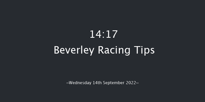 Beverley 14:17 Maiden (Class 5) 5f Sun 28th Aug 2022