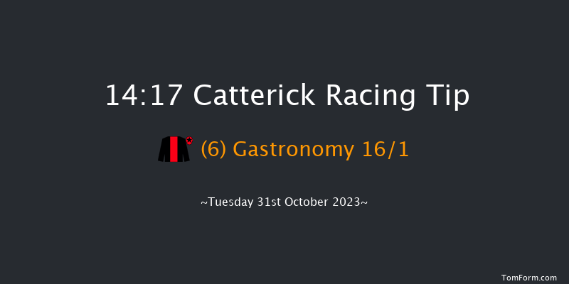 Catterick 14:17 Handicap (Class 4) 12f Sat 21st Oct 2023