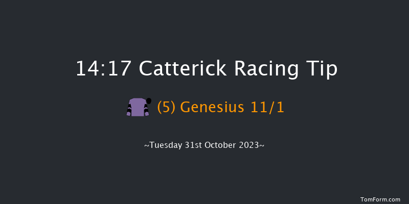 Catterick 14:17 Handicap (Class 4) 12f Sat 21st Oct 2023