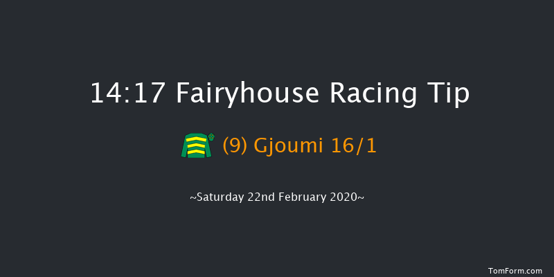 Norman Colfer Winning Fair Juvenile Hurdle (Grade 3) Fairyhouse 14:17 Conditions Hurdle 16f Sat 25th Jan 2020