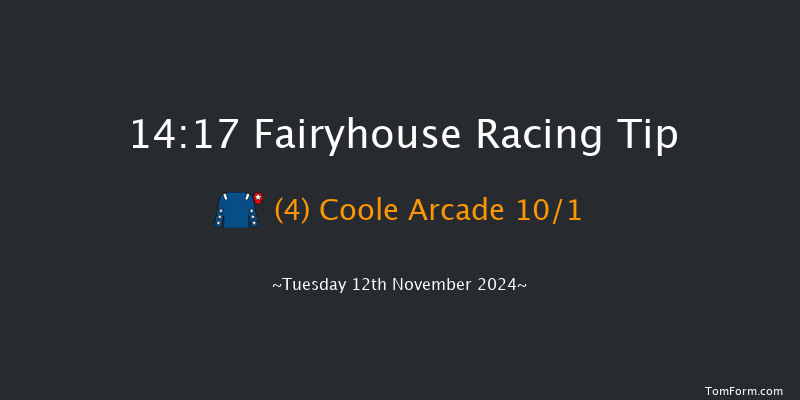 Fairyhouse  14:17 Handicap Chase 24f Tue 5th Nov 2024