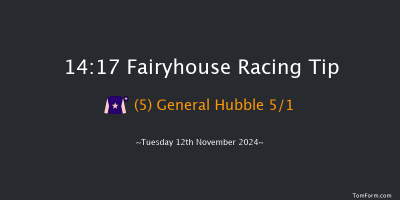 Fairyhouse  14:17 Handicap Chase 24f Tue 5th Nov 2024