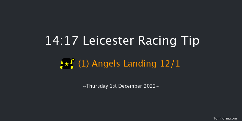 Leicester 14:17 Handicap Hurdle (Class 5) 16f Sun 27th Nov 2022