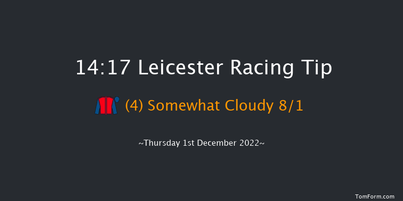Leicester 14:17 Handicap Hurdle (Class 5) 16f Sun 27th Nov 2022