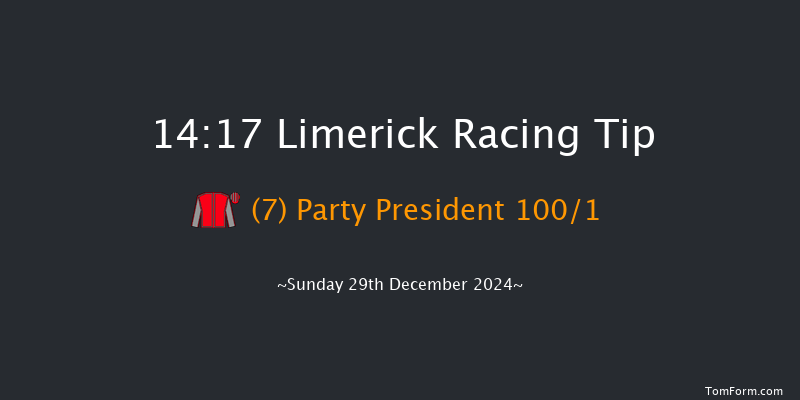 Limerick  14:17 Maiden Hurdle 19f Sat 28th Dec 2024