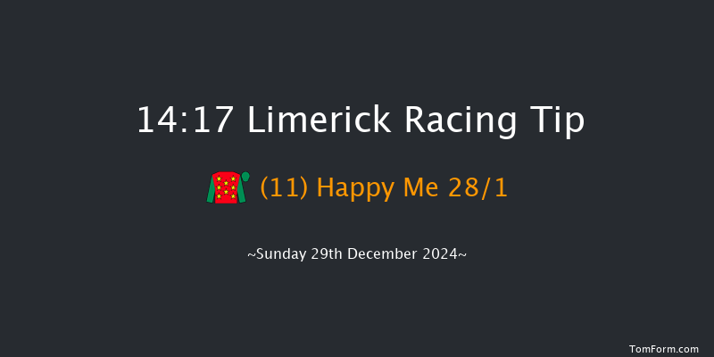 Limerick  14:17 Maiden Hurdle 19f Sat 28th Dec 2024