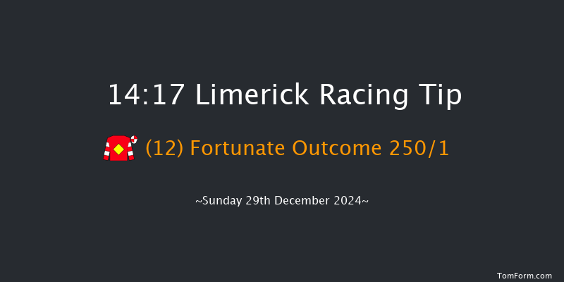 Limerick  14:17 Maiden Hurdle 19f Sat 28th Dec 2024