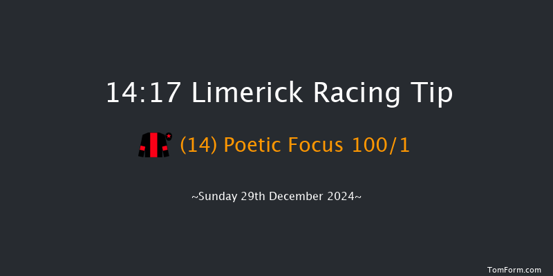 Limerick  14:17 Maiden Hurdle 19f Sat 28th Dec 2024