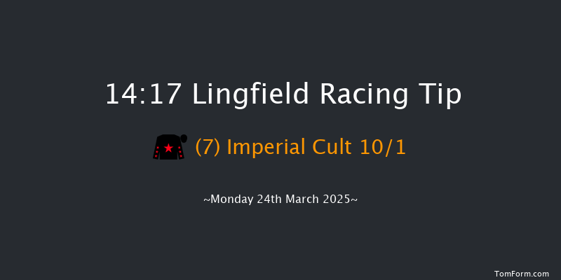 Lingfield  14:17 Handicap (Class 5) 10f Wed 5th Mar 2025