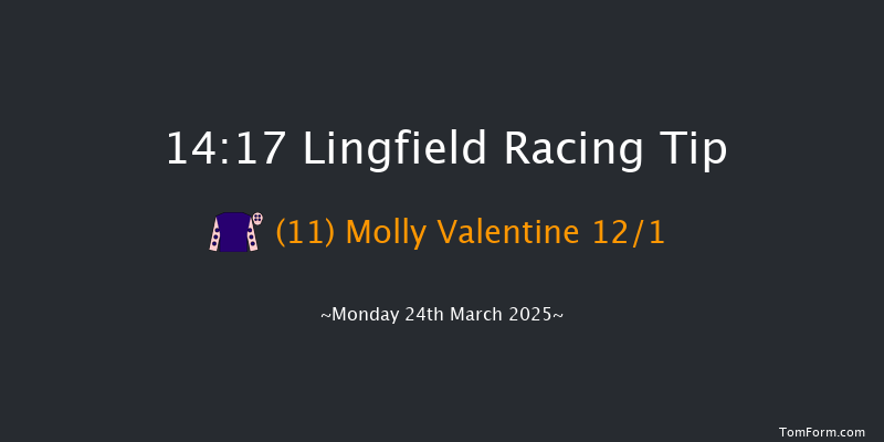 Lingfield  14:17 Handicap (Class 5) 10f Wed 5th Mar 2025