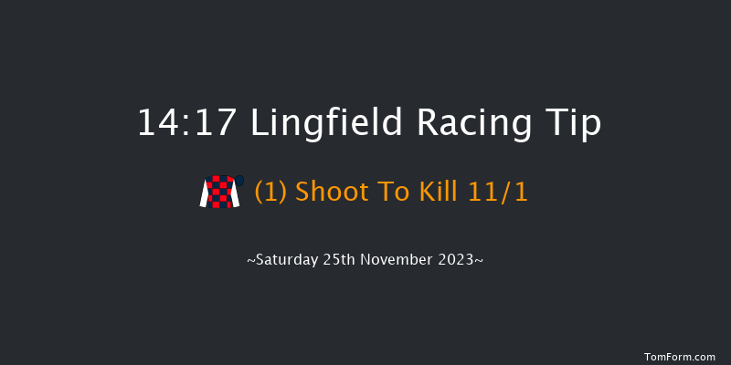 Lingfield 14:17 Handicap (Class 5) 10f Tue 21st Nov 2023