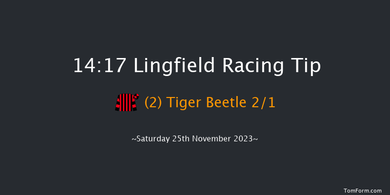 Lingfield 14:17 Handicap (Class 5) 10f Tue 21st Nov 2023