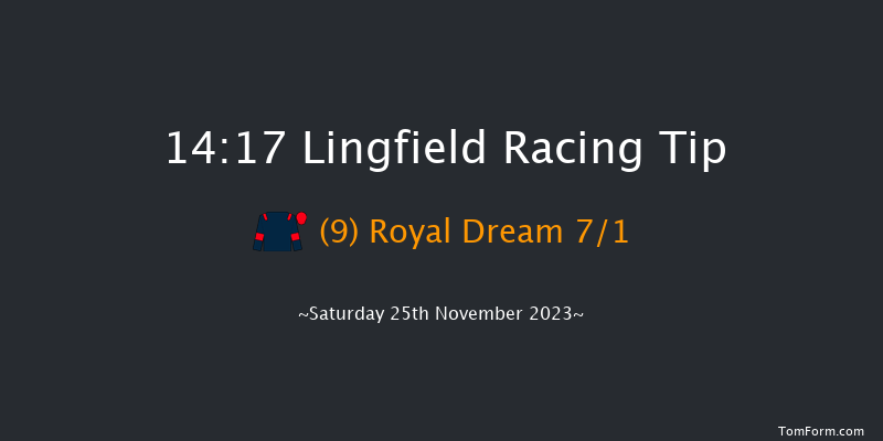 Lingfield 14:17 Handicap (Class 5) 10f Tue 21st Nov 2023