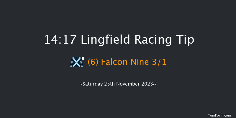 Lingfield 14:17 Handicap (Class 5) 10f Tue 21st Nov 2023