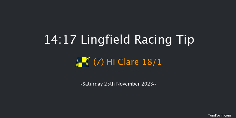 Lingfield 14:17 Handicap (Class 5) 10f Tue 21st Nov 2023