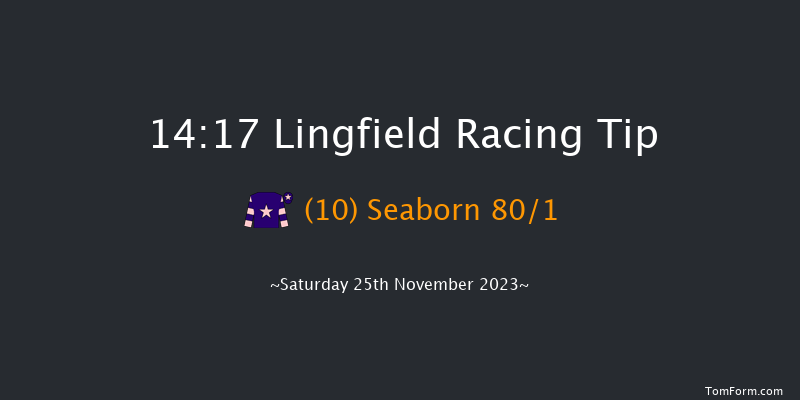 Lingfield 14:17 Handicap (Class 5) 10f Tue 21st Nov 2023
