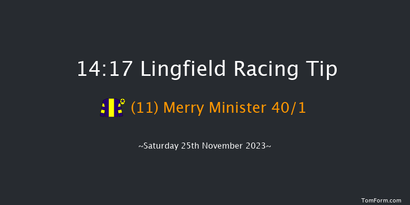 Lingfield 14:17 Handicap (Class 5) 10f Tue 21st Nov 2023