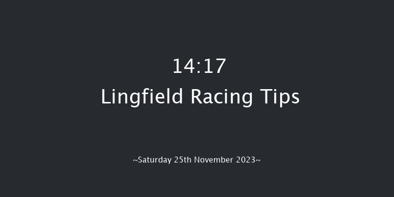 Lingfield 14:17 Handicap (Class 5) 10f Tue 21st Nov 2023
