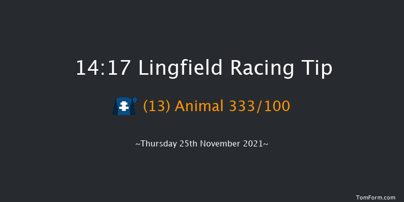 Lingfield 14:17 Handicap Chase (Class 4) 20f Sat 20th Nov 2021