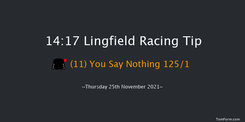 Lingfield 14:17 Handicap Chase (Class 4) 20f Sat 20th Nov 2021
