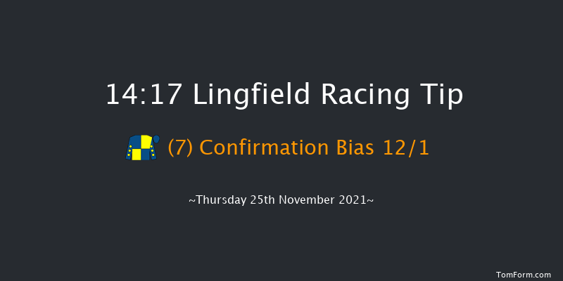 Lingfield 14:17 Handicap Chase (Class 4) 20f Sat 20th Nov 2021