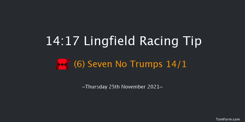 Lingfield 14:17 Handicap Chase (Class 4) 20f Sat 20th Nov 2021