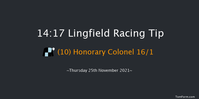 Lingfield 14:17 Handicap Chase (Class 4) 20f Sat 20th Nov 2021