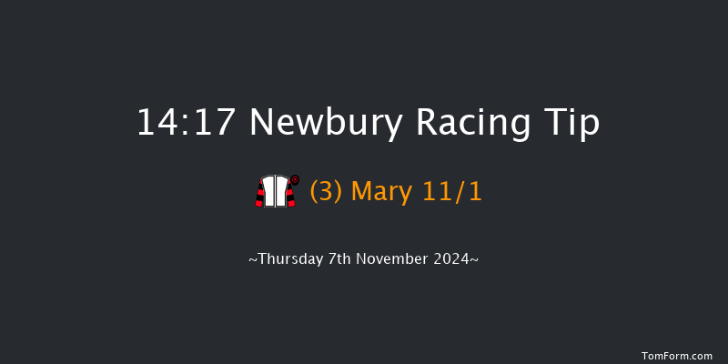 Newbury  14:17 Maiden Hurdle (Class 2) 16f Sat 26th Oct 2024