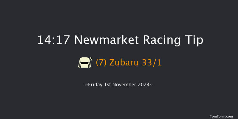 Newmarket  14:17 Stakes (Class 4) 6f Wed 23rd Oct 2024