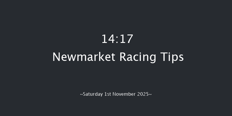 Newmarket 14-17 (Class 3) 8f Fri 31st Oct 2025