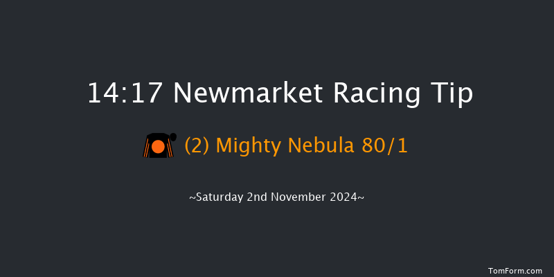 Newmarket  14:17 Handicap (Class 3) 8f Fri 1st Nov 2024