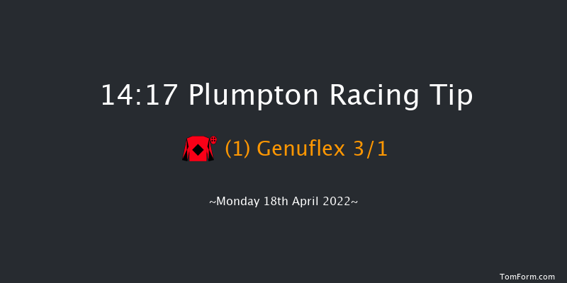 Plumpton 14:17 Conditions Hurdle (Class 4) 16f Sun 17th Apr 2022