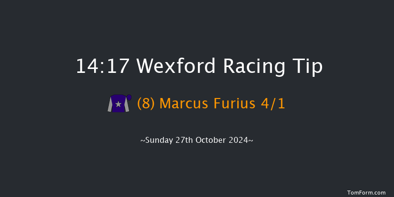 Wexford  14:17 Maiden Hurdle 16f Fri 30th Aug 2024