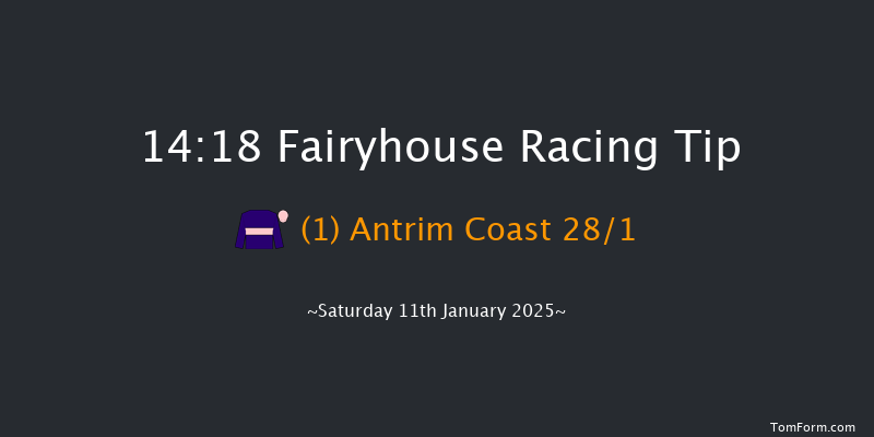 Fairyhouse  14:18 Beginners Chase 17f Wed 1st Jan 2025