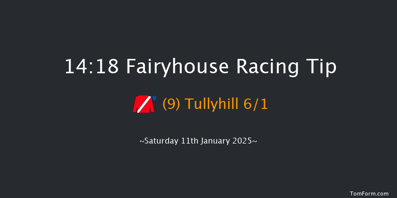 Fairyhouse  14:18 Beginners Chase 17f Wed 1st Jan 2025