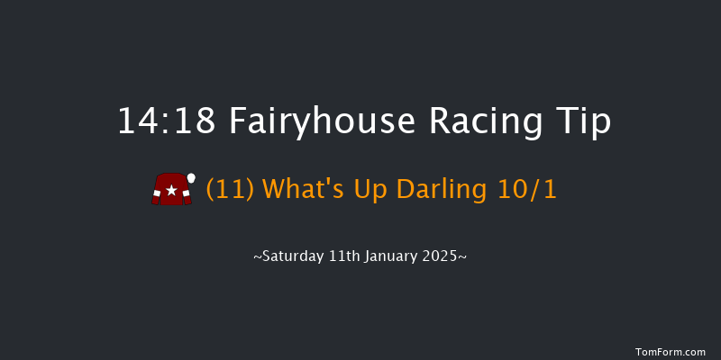 Fairyhouse  14:18 Beginners Chase 17f Wed 1st Jan 2025