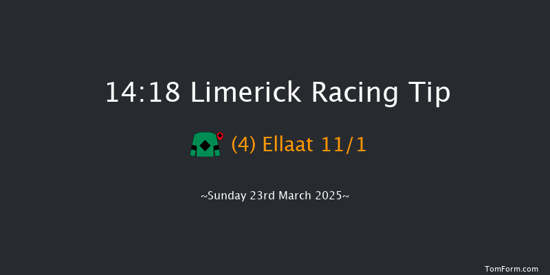 Limerick  14:18 Handicap Hurdle 16f Thu 13th Mar 2025
