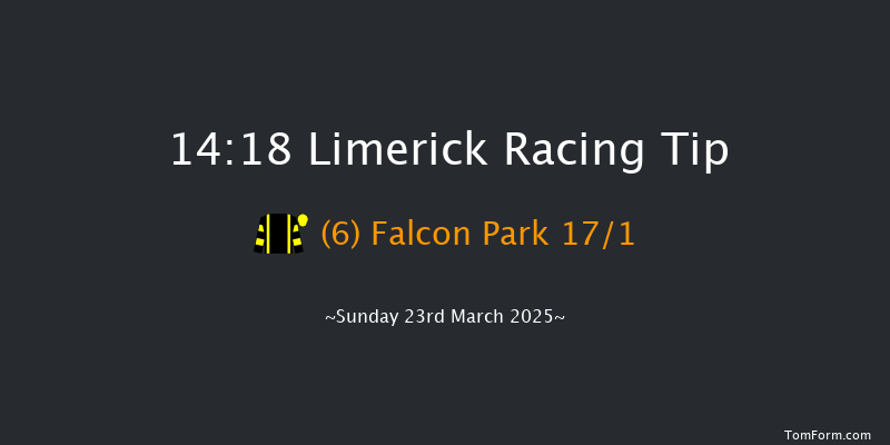 Limerick  14:18 Handicap Hurdle 16f Thu 13th Mar 2025