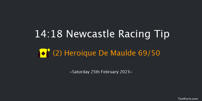 Newcastle 14:18 Handicap Chase (Class 4) 16f Thu 23rd Feb 2023