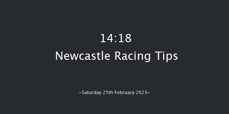 Newcastle 14:18 Handicap Chase (Class 4) 16f Thu 23rd Feb 2023